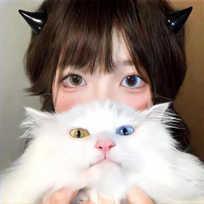 纸钞屋第二季